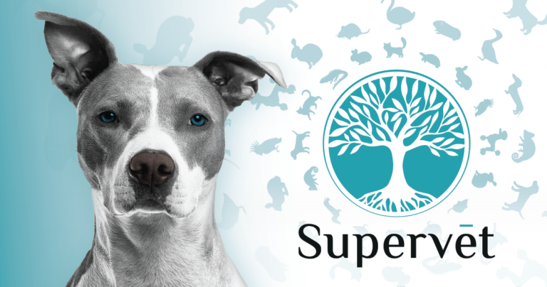 Supervet – Az  Állatkórház