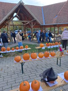 Tökfaragás és Szalonnasütés – Őszi közösségi délután Ádándon